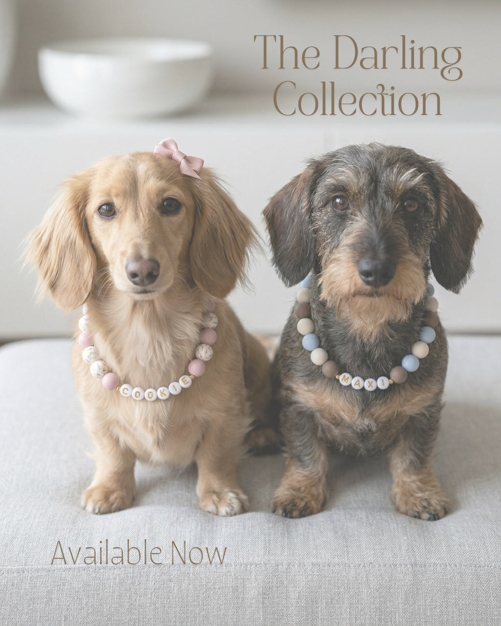 Darling Necklaces