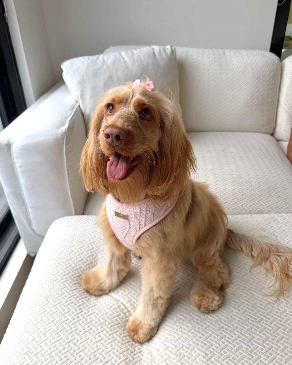 Blush Knit Harness