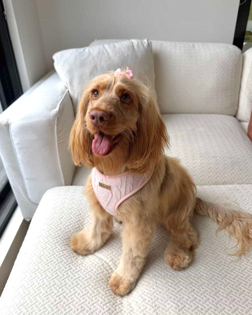 Blush Knit Harness