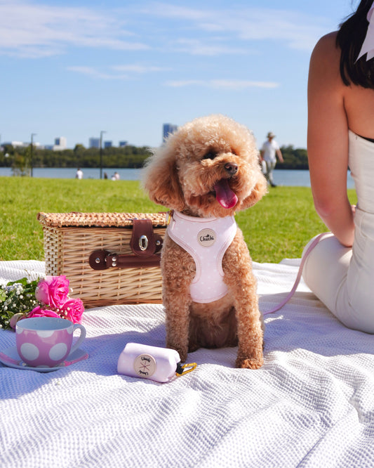 Pink Polka Dot Harness