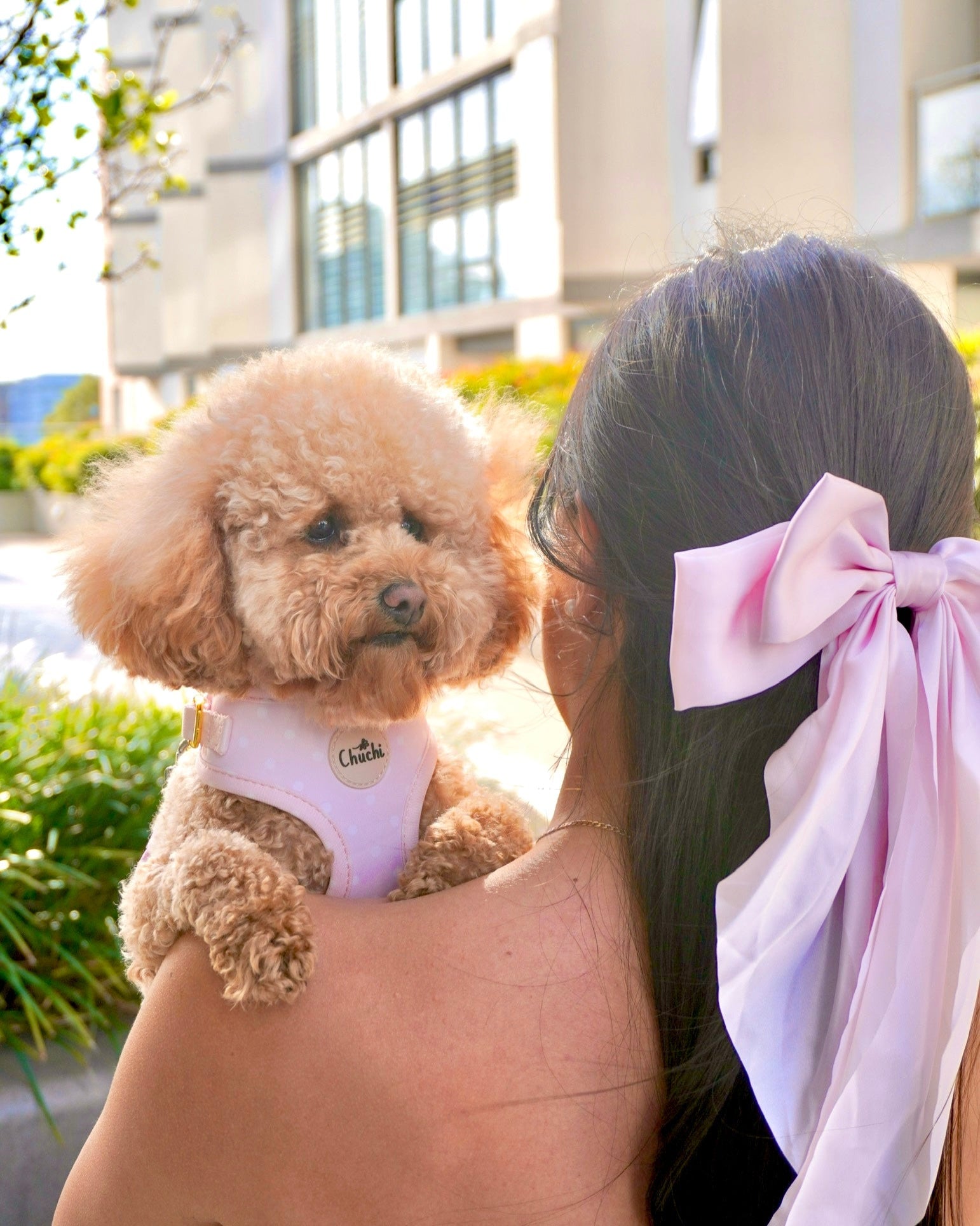 Pink Polka Dot Harness