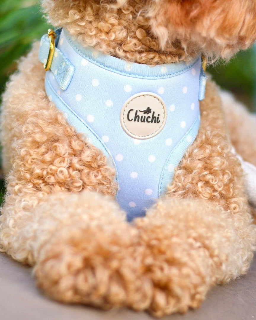 Blue Polka Dot Harness