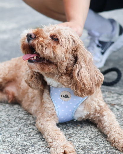 Blue Polka Dot Harness