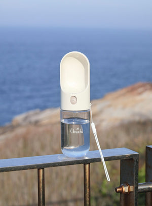 A portable pet water fountain with a white top and a clear lower reservoir, shown resting on a metal railing with a blurred ocean and rocky coastline in the background.
