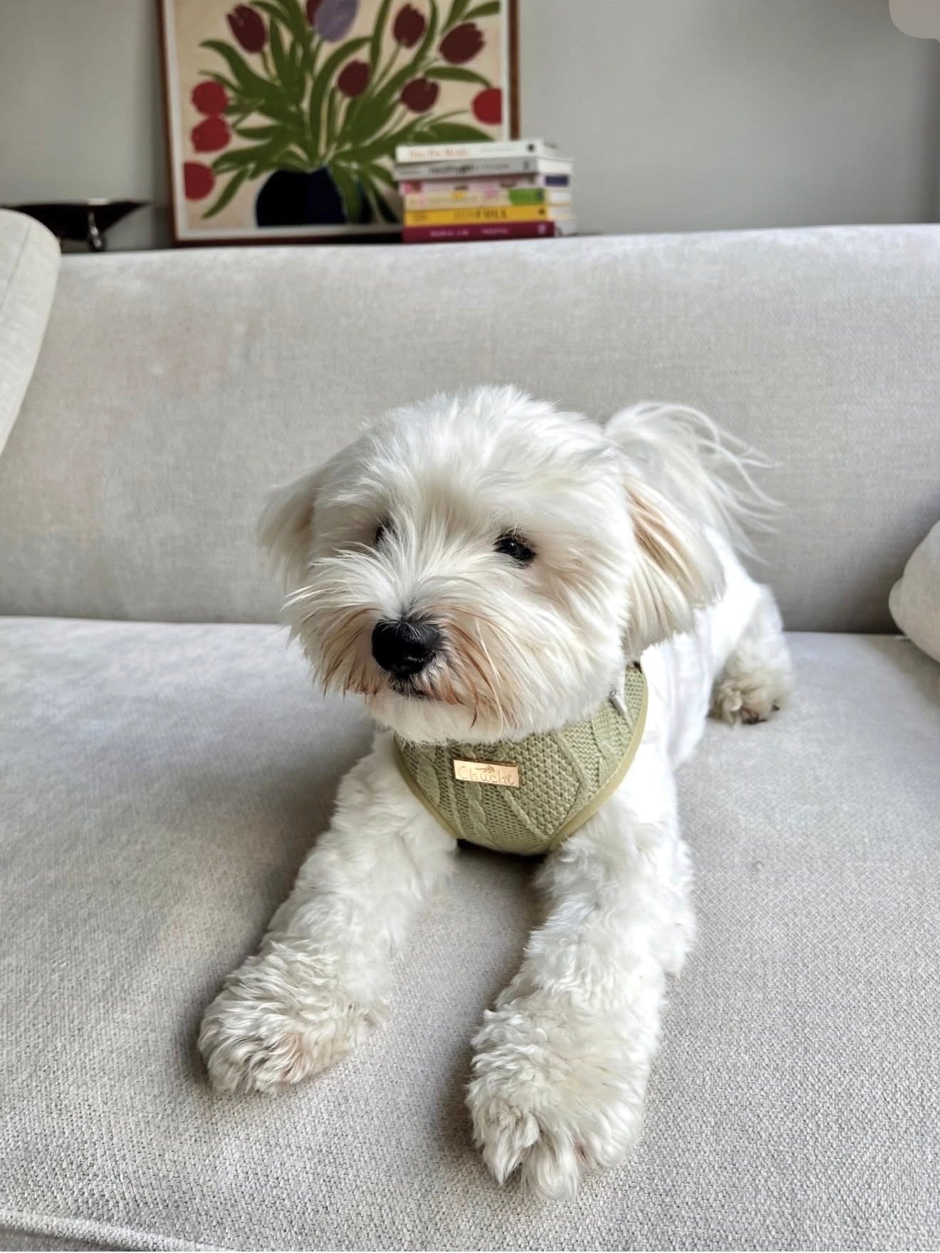 Sage Knit Harness