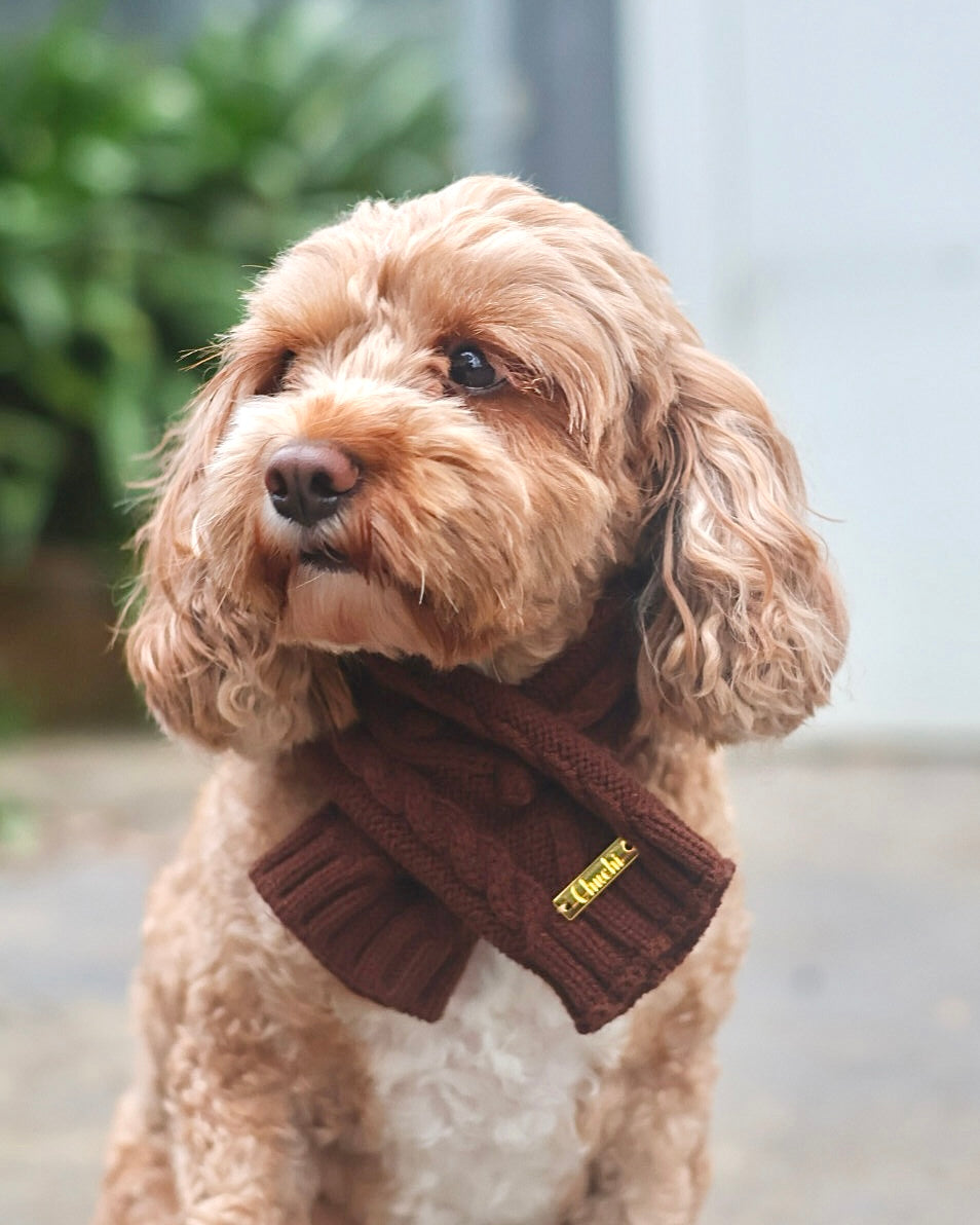 Cappuccino Scarf