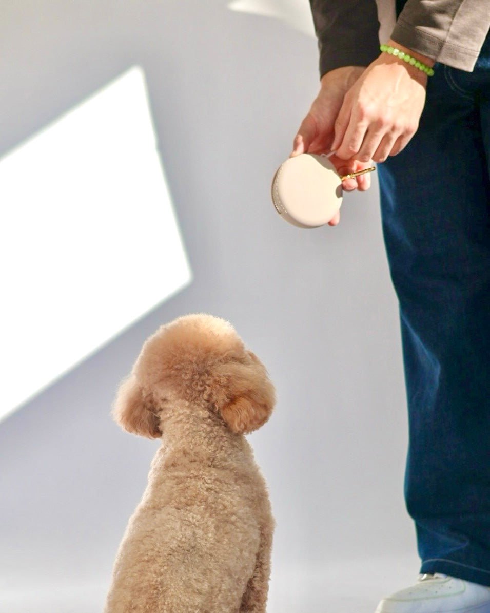 Treat Bag Holder
