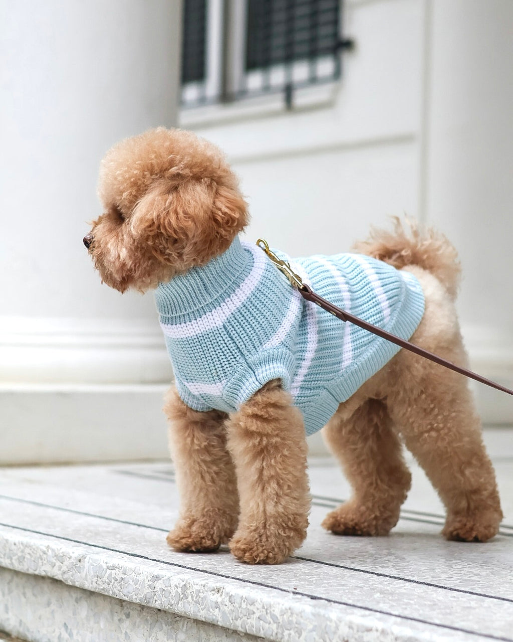 Stripped Snow & Sea Sweater