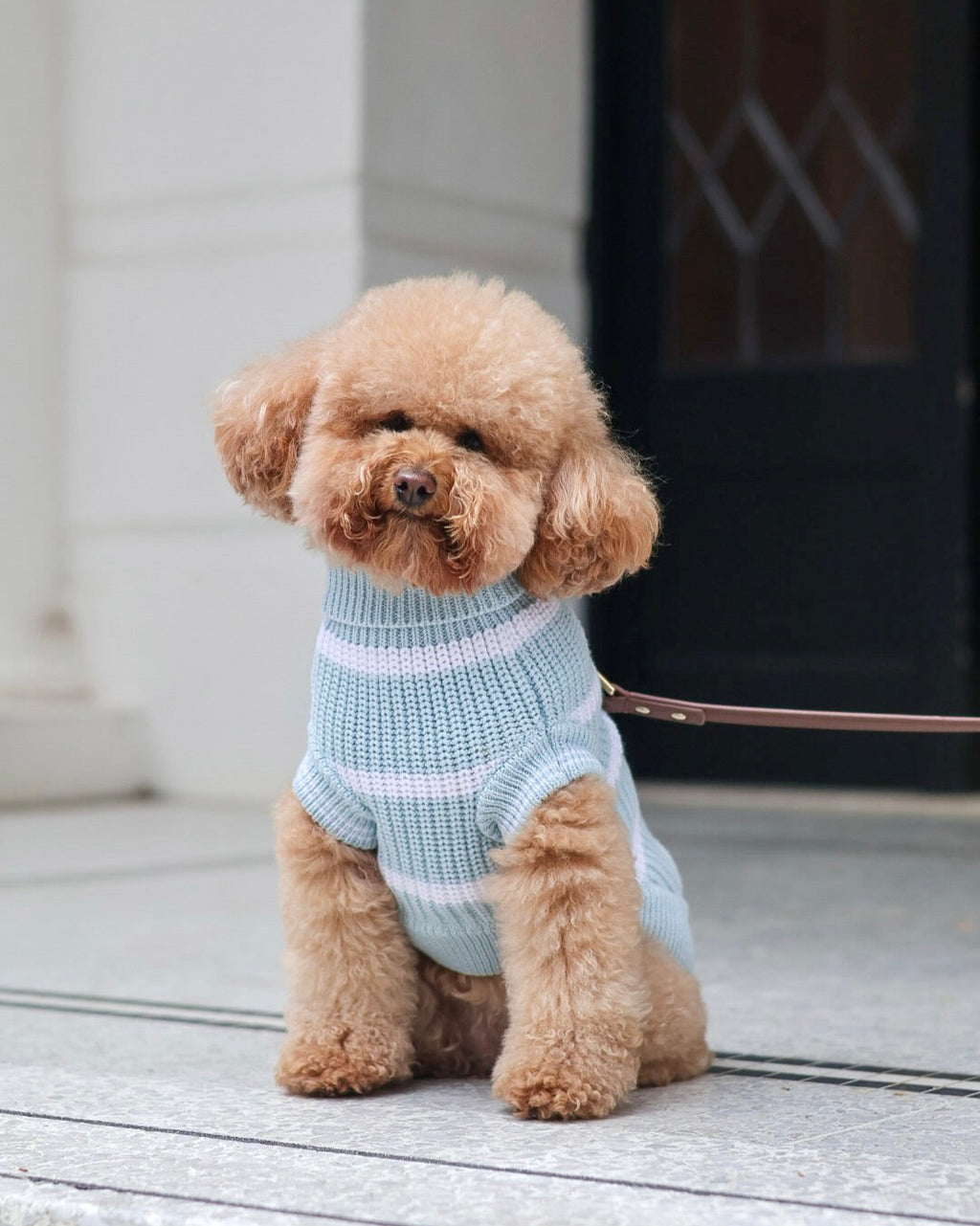 Stripped Snow & Sea Sweater