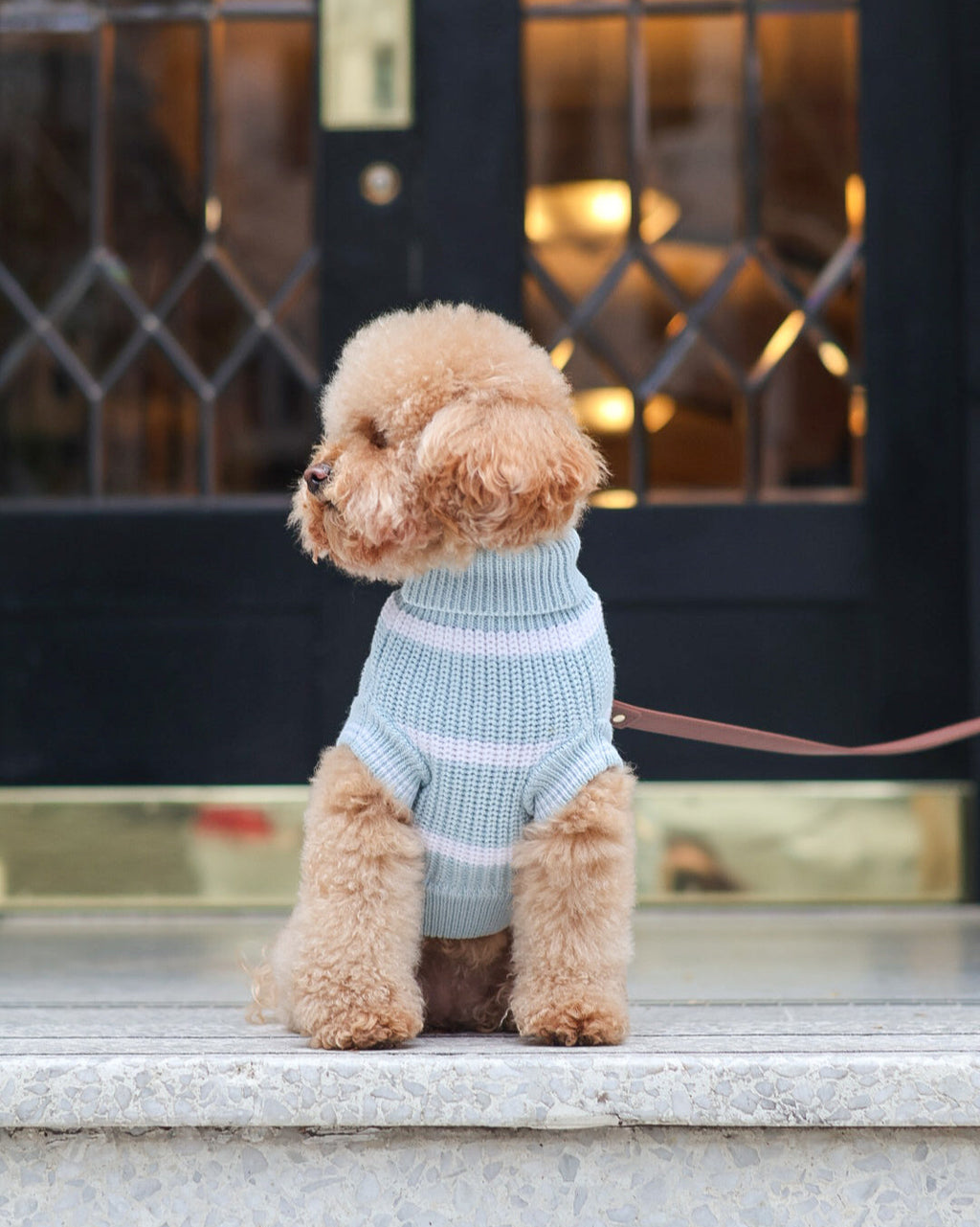 Stripped Snow & Sea Sweater
