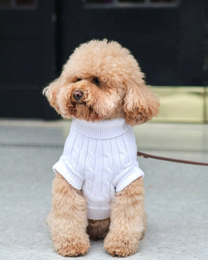 White Cable Knit Sweater