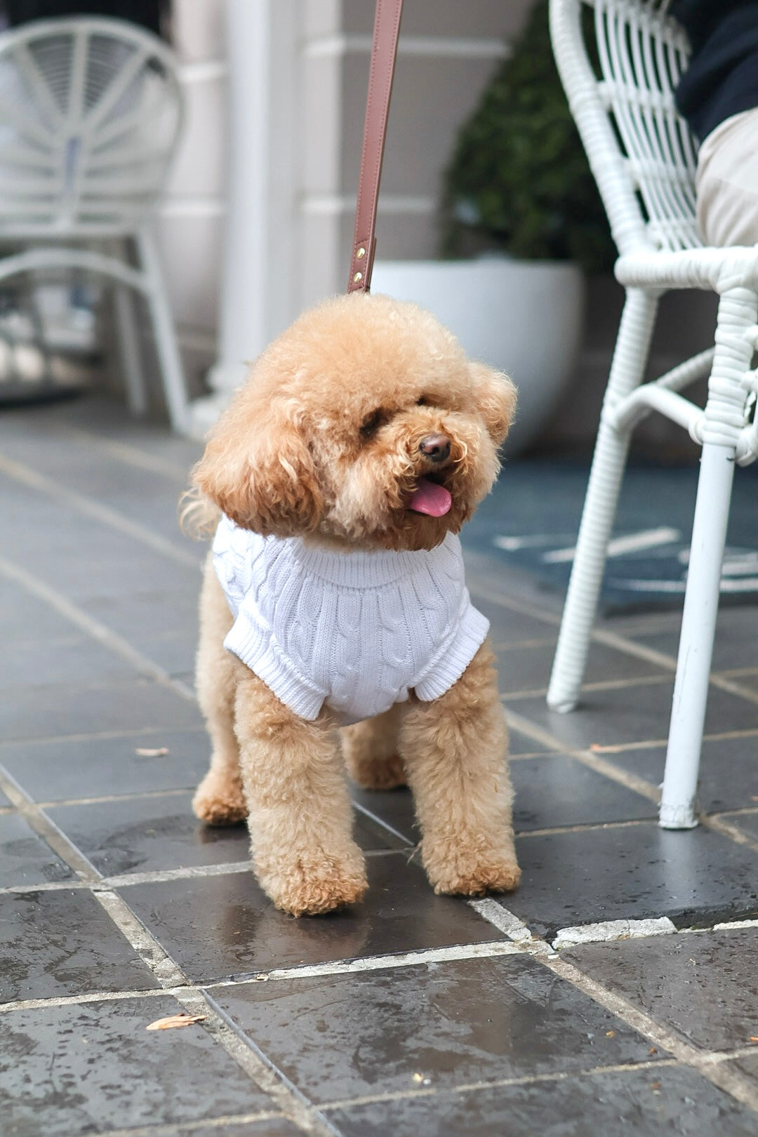 White Cable Knit Sweater