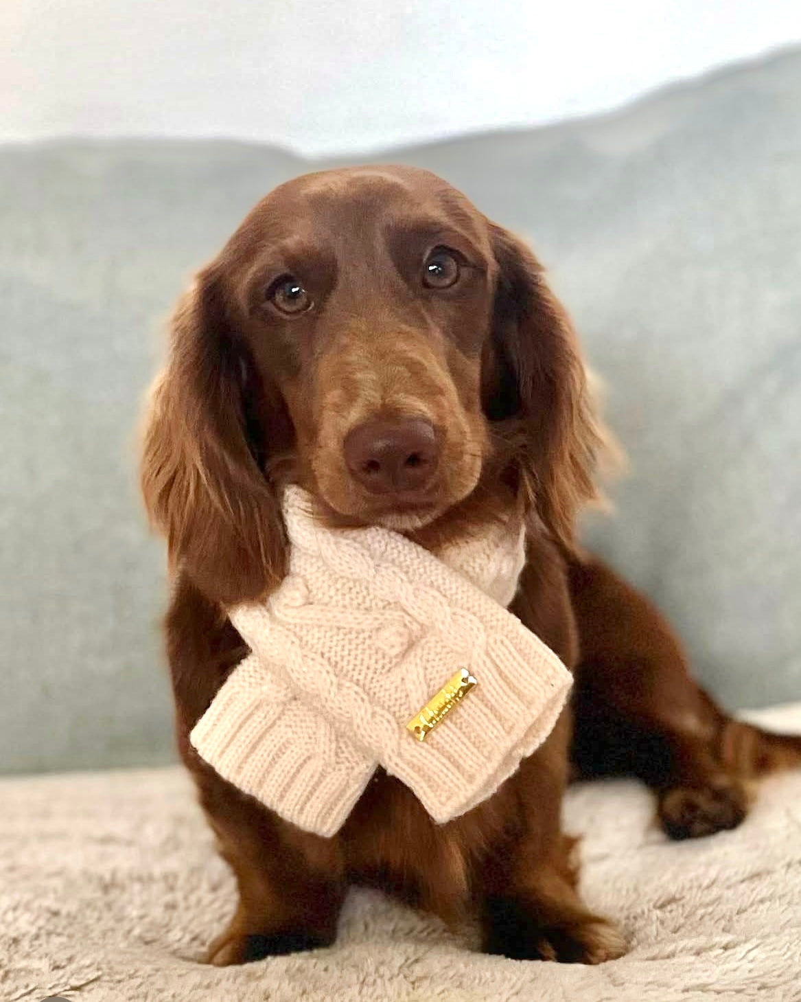 Latte Scarf