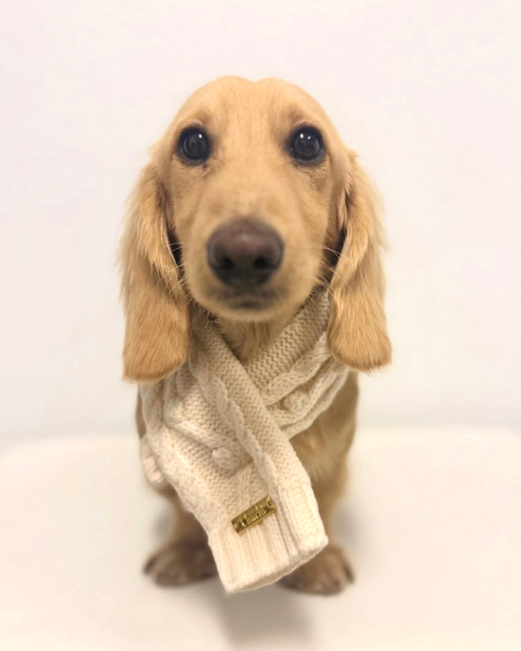 Latte Scarf
