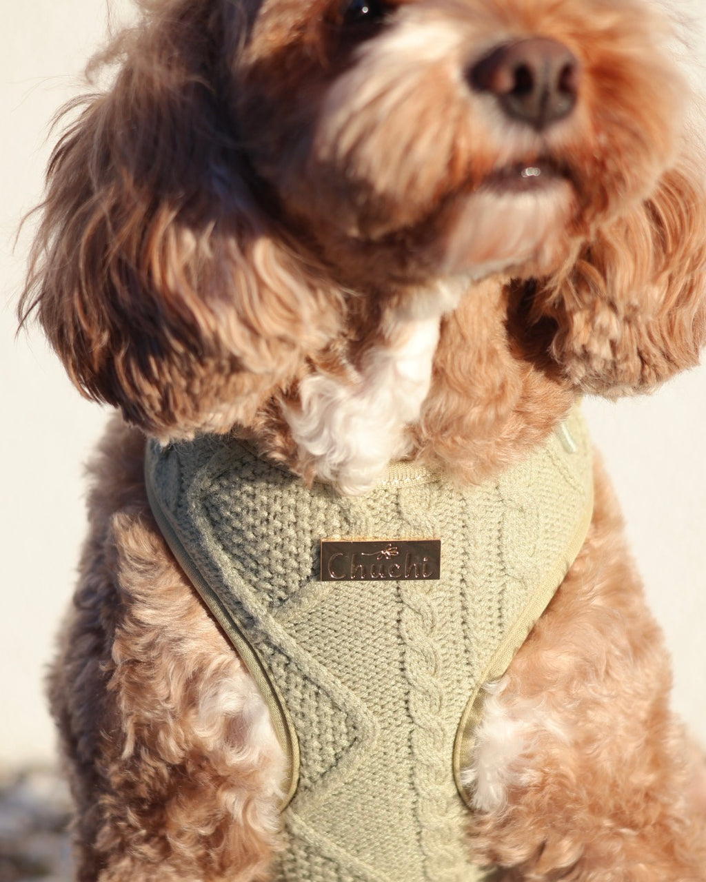 Sage Knit Harness
