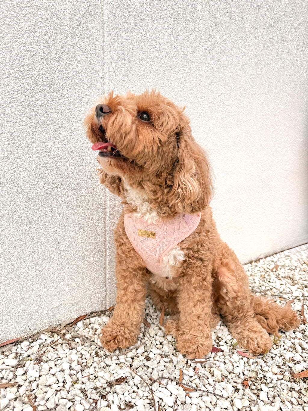 Blush Knit Harness