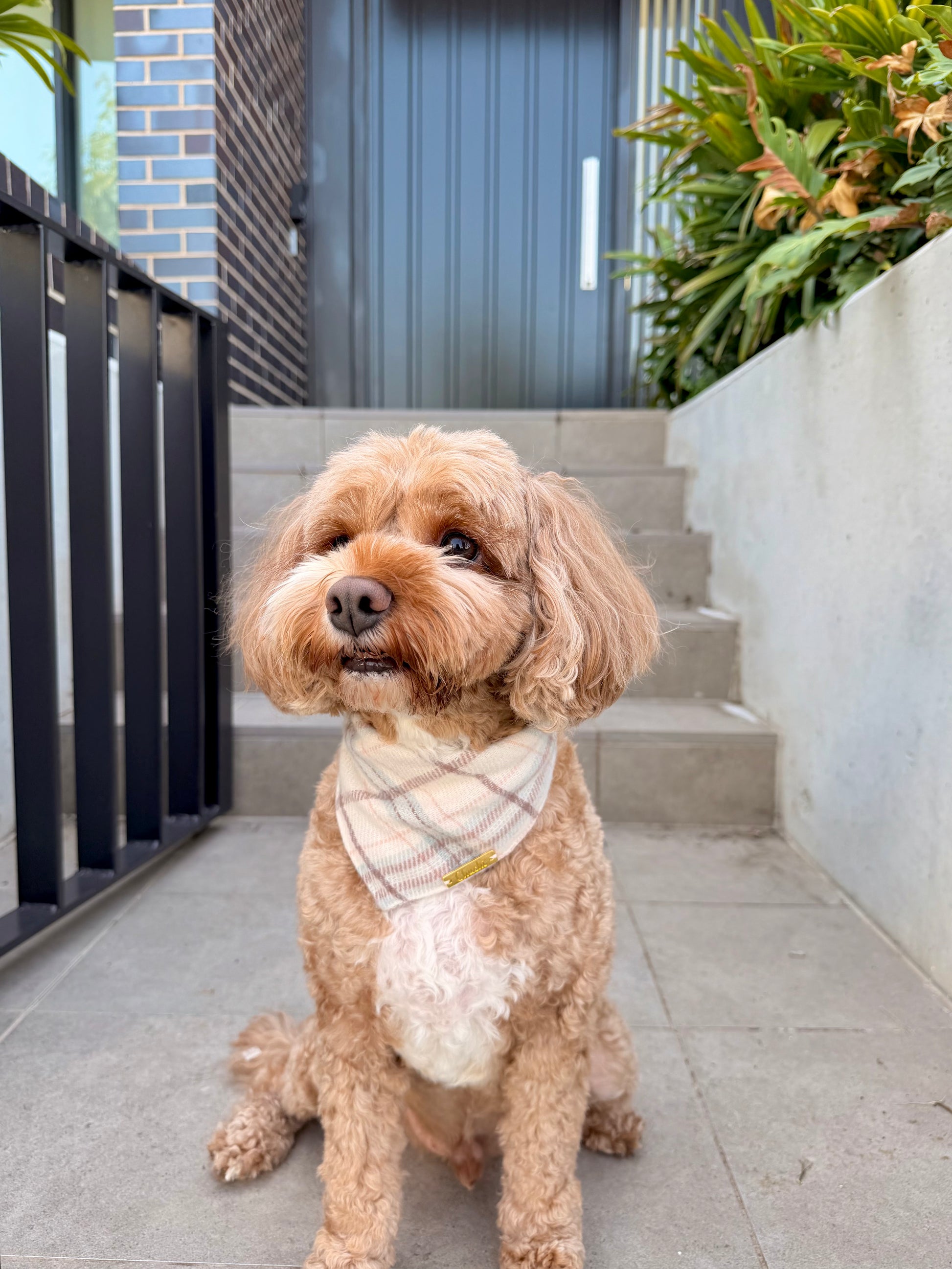 Burleigh Beige Bandana
