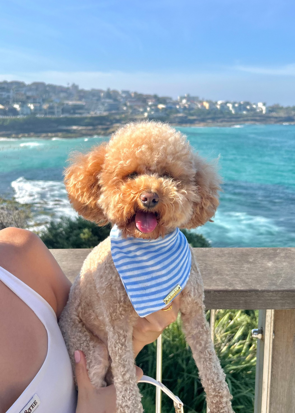 Murphy Bandana