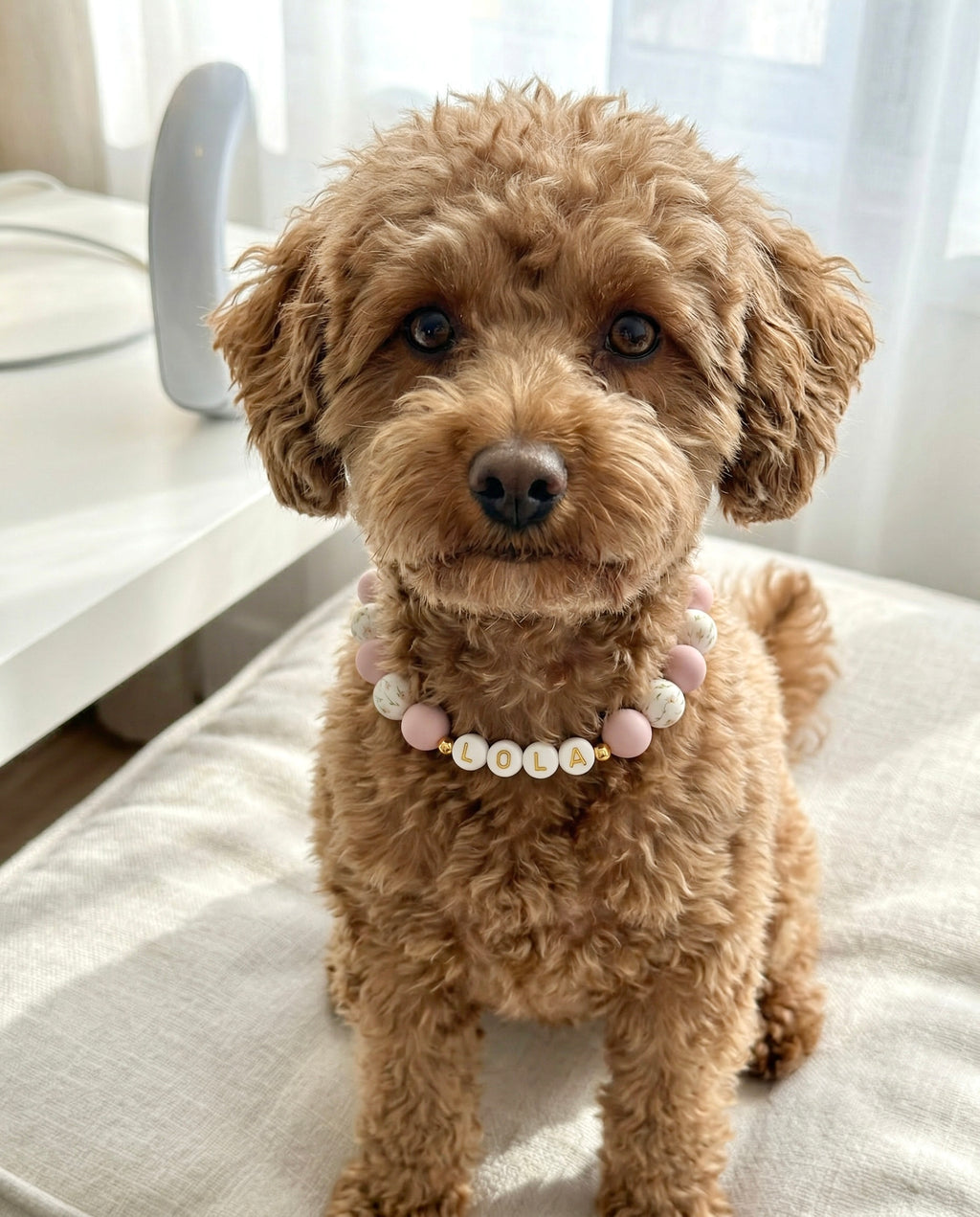 Darling Necklaces