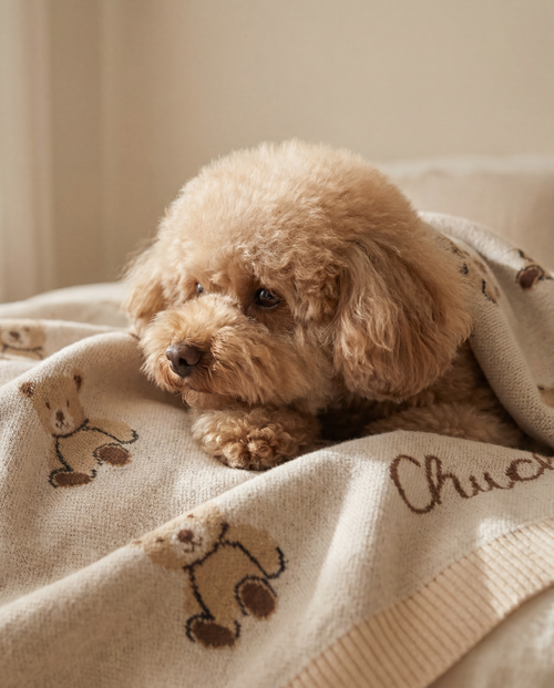 Honey Bear Blanket