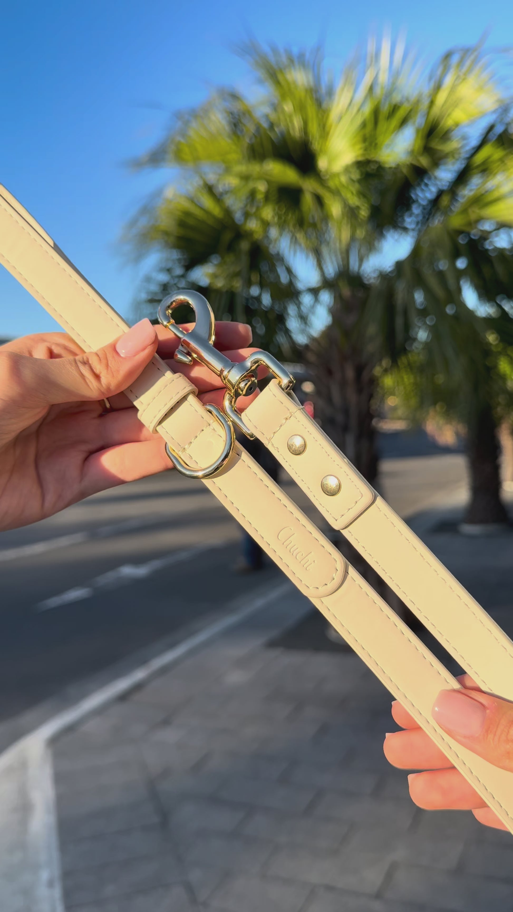 Sand Dune Vegan Leather Lead