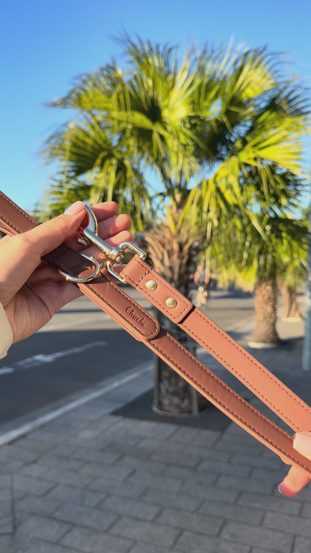 Chestnut Path Vegan Leather Lead