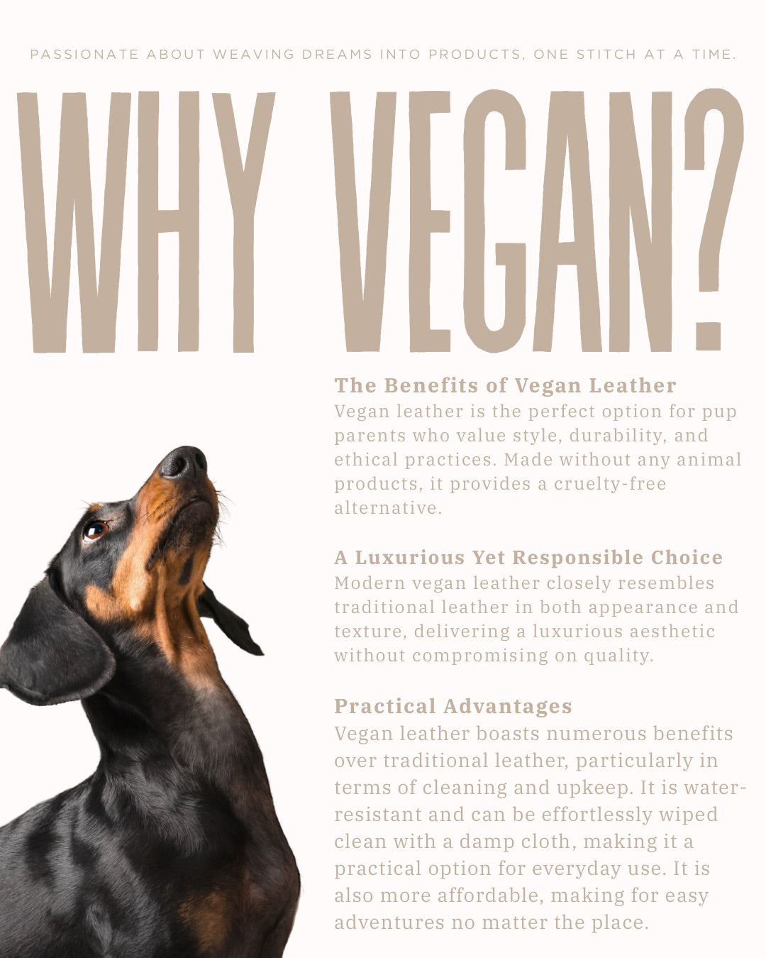 Chestnut Path Vegan Leather Lead